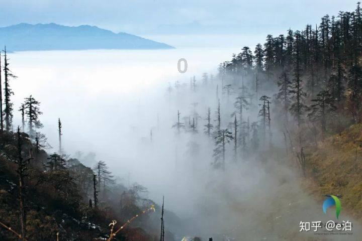 拯救隧道中的祖父