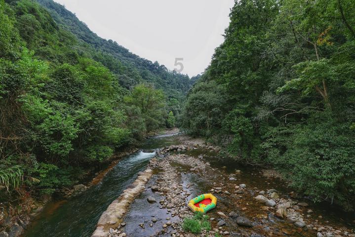 记者：三场比赛一球没进，但凡多带个前锋还多一点进球机会